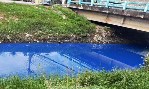 Nước kênh trong khu công nghiệp ở Bình Dương đổi màu xanh kỳ lạ